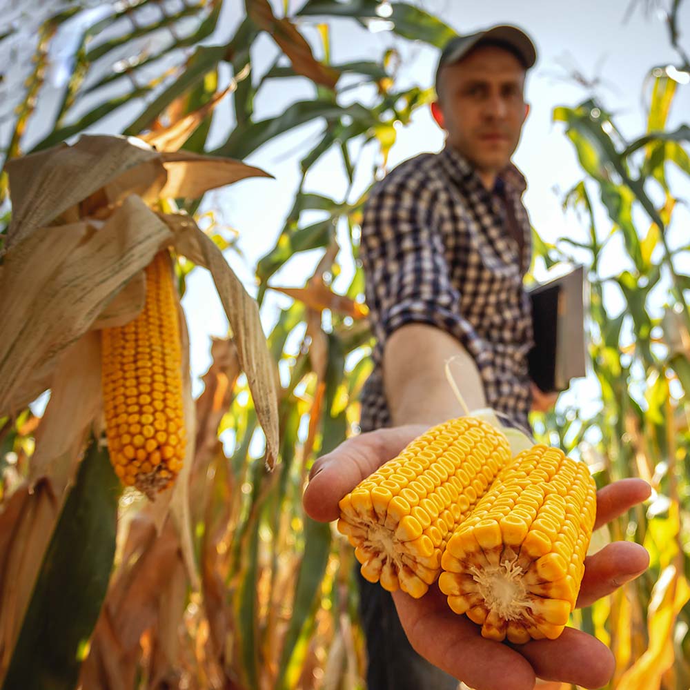 Equipo técnico y asesores agrónomos de Norseeds en Córdoba